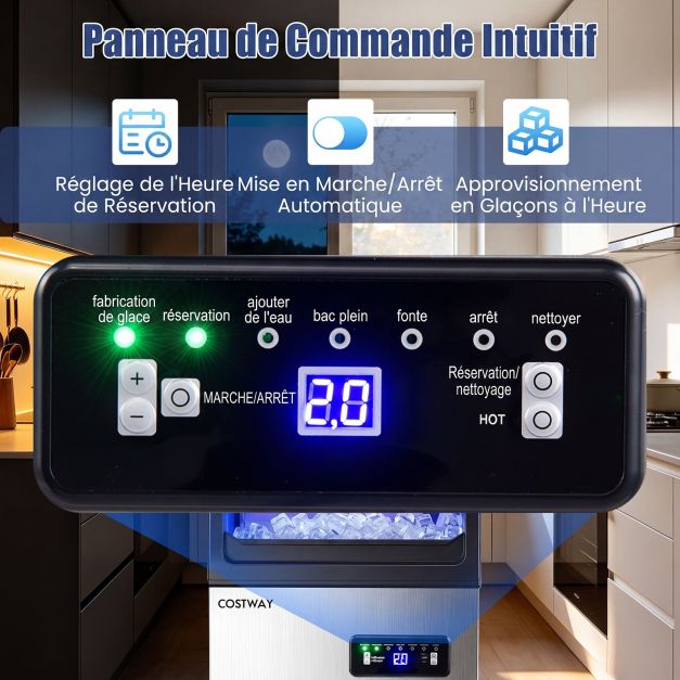 Machine à Glaçons Commerciale Inox - 50 kg / 24h